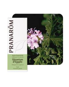 Pranarom eterično ulje geranij egipatski 10 ml