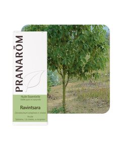 Pranarom eterično ulje ravensara, 10 ml