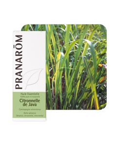 Pranarom eterično ulje citronela javanska 10 ml