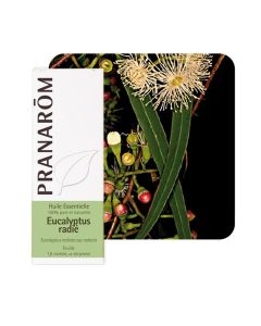 Pranarom eterično ulje eukaliptus radiata, 10 ml