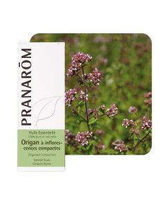 Pranarom eterično ulje mravinac kompaktan 10 ml