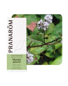 Pranarom eterično ulje metvica paprena, 10 ml