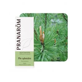 Pranarom eterično ulje bor bijeli