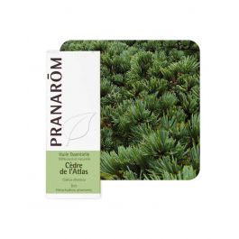 Pranarom eterično ulje cedar atlaski